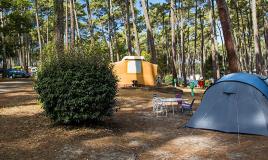 tentes du camping Les Oyats