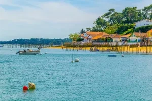 Cap Ferret